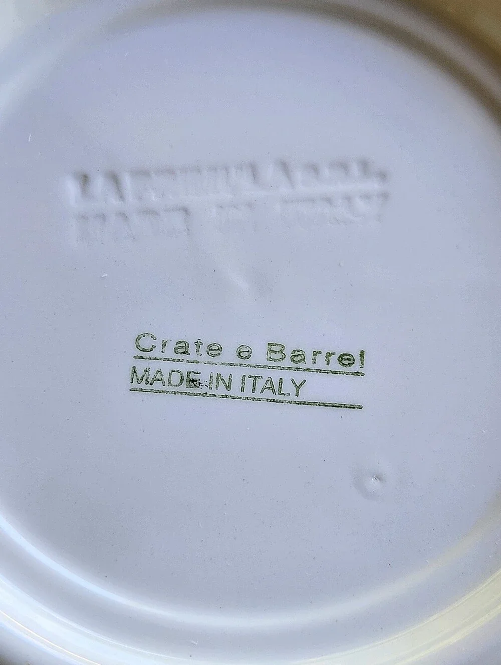 Rare Crate&Barrel Made in Italy Pasta Bowls Set 4 La Primula Aqua Yellow Coastal